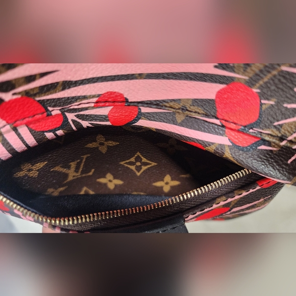 Louis Vuitton Limited Edition Palm Springs Jungle Dot Backpack. - Picture 15 of 15